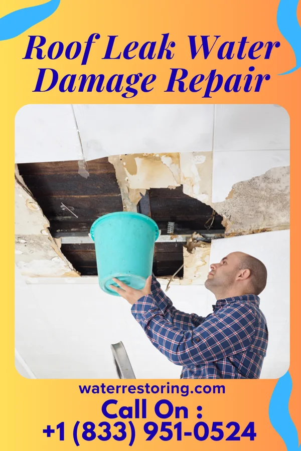 Roof Leak Water Damage Repair in Lake Arrowhead, WI