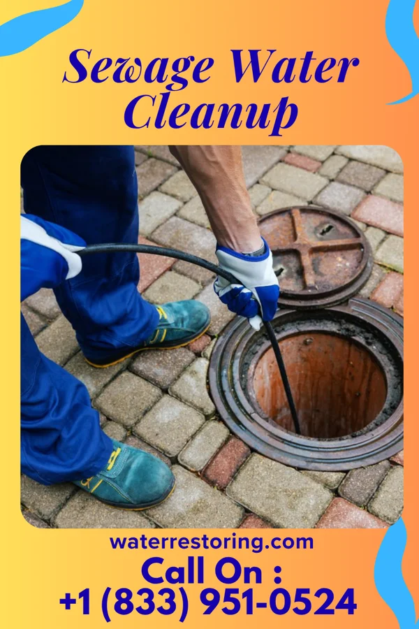 Sewage Water Cleanup in Lake Arrowhead, WI